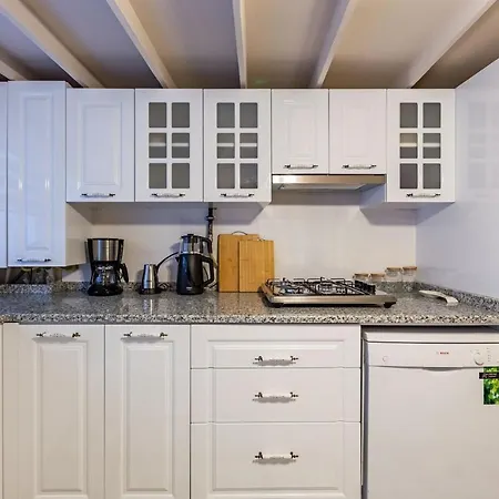 Gorgeous House With Refreshing Garden In Besiktas דירה איסטמבול